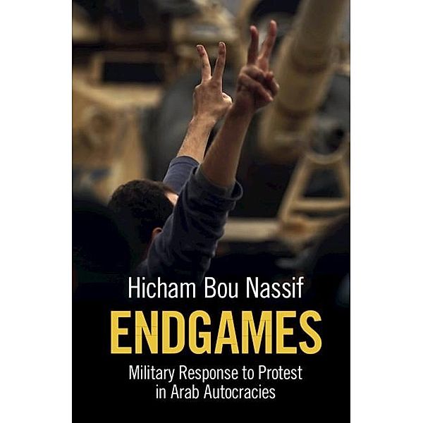 Endgames, Hicham Bou Nassif