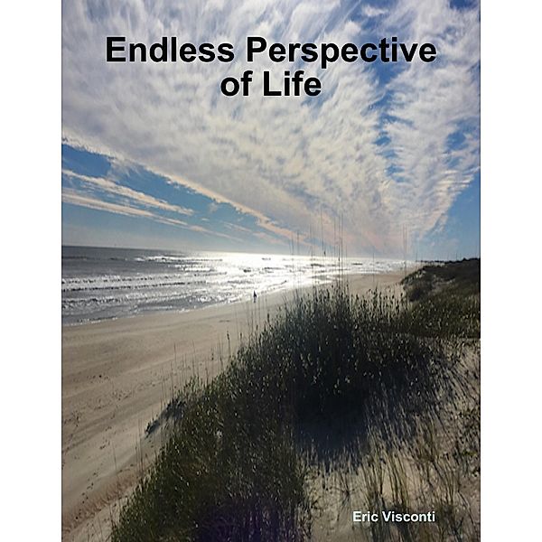 Endless Perspective of Life, Eric Visconti