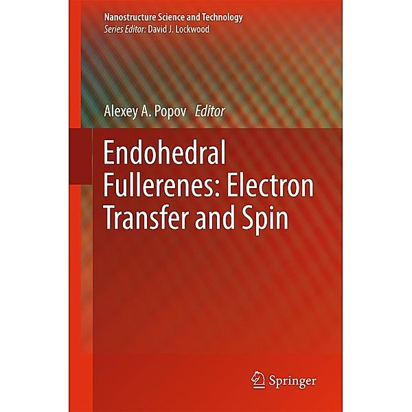 Endohedral Fullerenes: Electron Transfer and Spin / Nanostructure Science and Technology