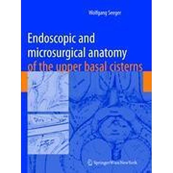 Endoscopic and microsurgical anatomy of the upper basal cisterns, Wolfgang Seeger