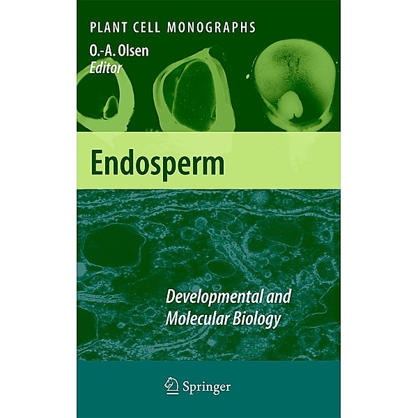 Endosperm / Plant Cell Monographs Bd.8