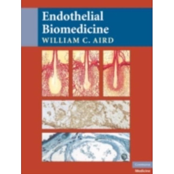 Endothelial Biomedicine