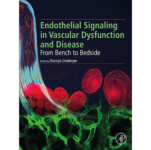 Endothelial Signaling in Vascular Dysfunction and Disease