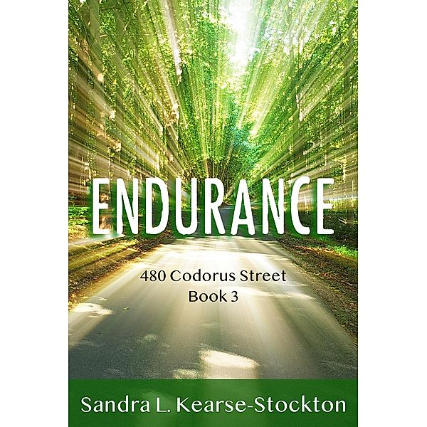 Endurance / 480 Codorus Street Bd.3, Sandra Stockton