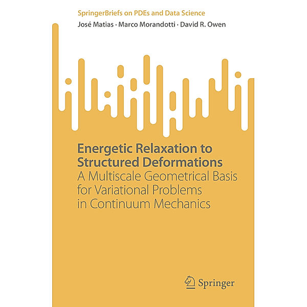 Energetic Relaxation to Structured Deformations, José Matias, Marco Morandotti, David R. Owen