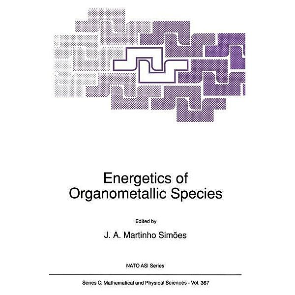 Energetics of Organometallic Species / Nato Science Series C: Bd.367