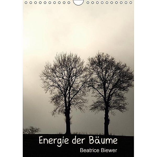 Energie der Bäume (Wandkalender 2017 DIN A4 hoch), Beatrice Biewer
