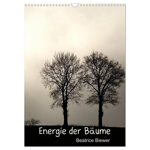 Energie der Bäume (Wandkalender 2024 DIN A3 hoch), CALVENDO Monatskalender, Beatrice Biewer