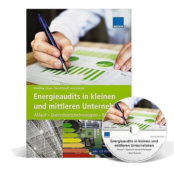 Energieaudits in kleinen und mittleren Unternehmen, m. CD-ROM, Matthias Lisson, Pascal Dürolf, Julia Kremer