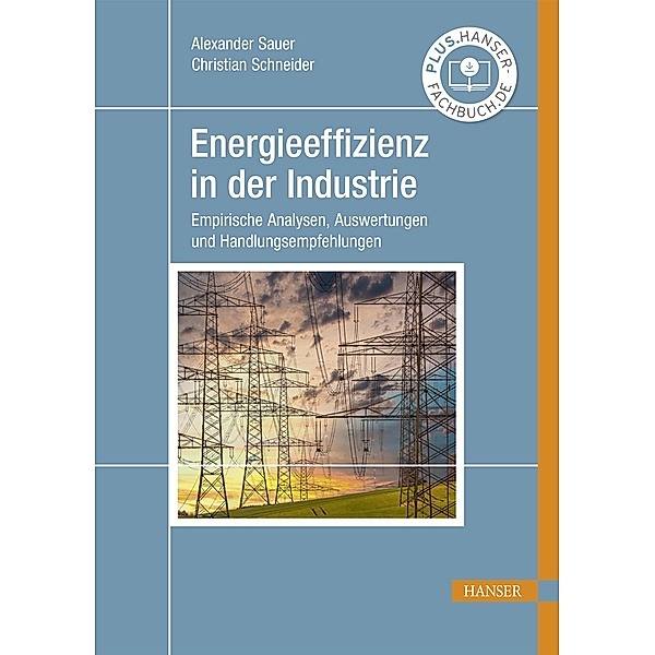 Energieeffizienz in der Industrie, Alexander Sauer, Christian Schneider