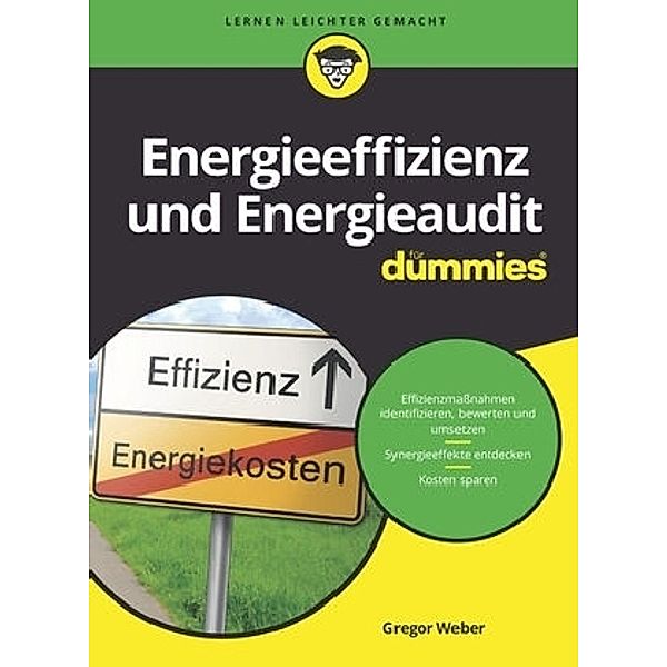 Energieeffizienz und Energieaudit für Dummies, Gregor Weber