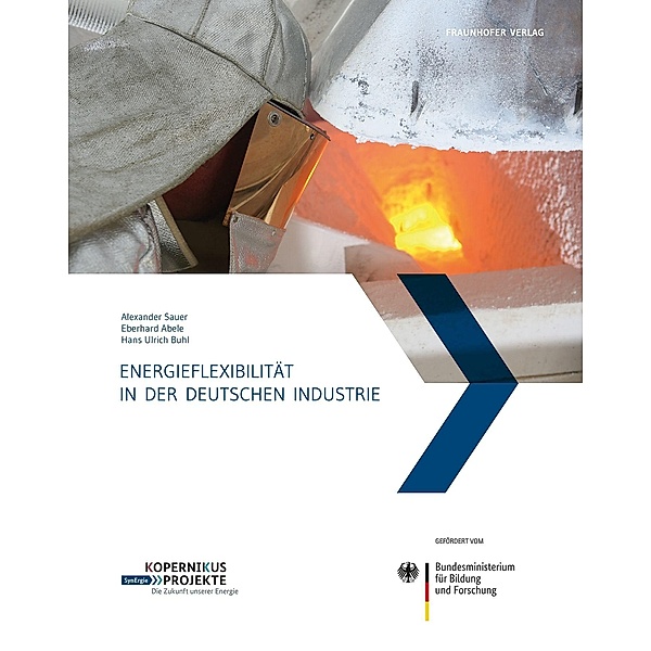 Energieflexibilität in der deutschen Industrie.