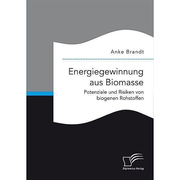 Energiegewinnung aus Biomasse. Potenziale und Risiken von biogenen Rohstoffen, Anke Brandt