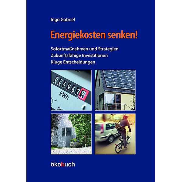 Energiekosten senken!, Ingo Gabriel