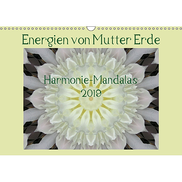 Energien von Mutter Erde (Wandkalender 2019 DIN A3 quer), JonaMo