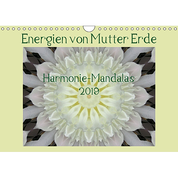 Energien von Mutter Erde (Wandkalender 2019 DIN A4 quer), JonaMo