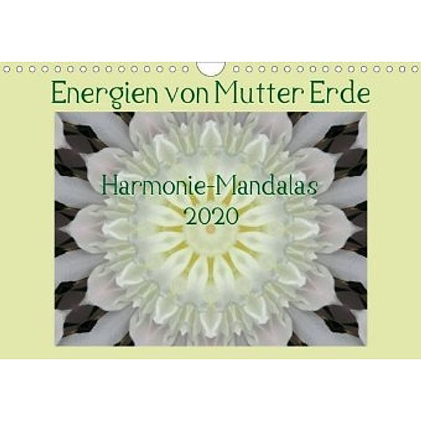 Energien von Mutter Erde (Wandkalender 2020 DIN A4 quer), JonaMo