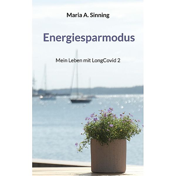 Energiesparmodus, Maria A. Sinning
