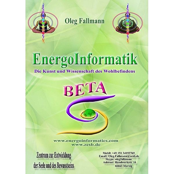 EnergoInformatik (Beta), Fallmann Oleg