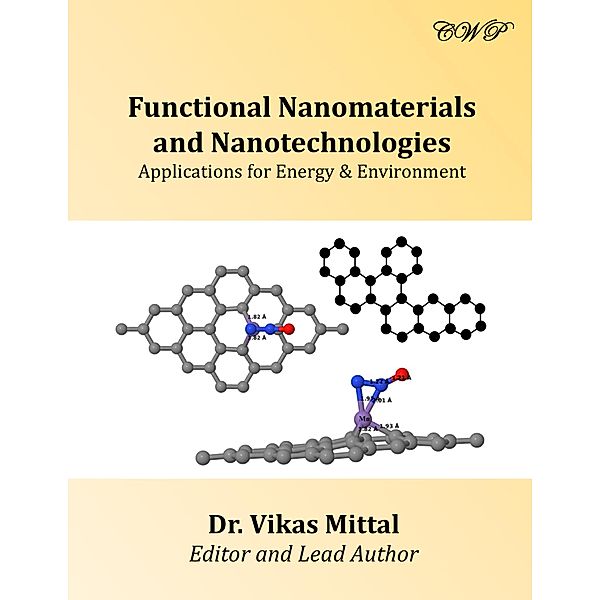 Energy and Environment: Functional Nanomaterials and Nanotechnologies