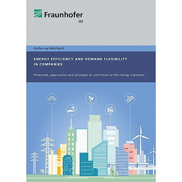Energy efficiency and demand flexibility in companies., Katharina Wohlfarth