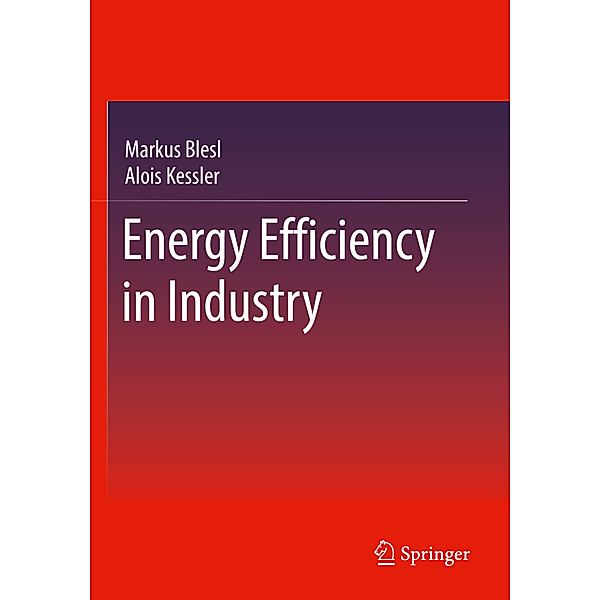 Energy Efficiency in Industry, Markus Blesl, Alois Kessler