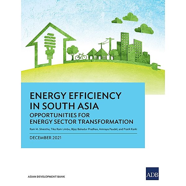 Energy Efficiency in South Asia