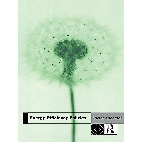 Energy Efficiency Policies, Victor Anderson