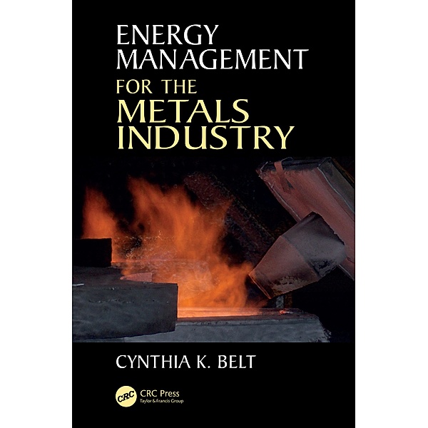 Energy Management for the Metals Industry, Cynthia K. Belt