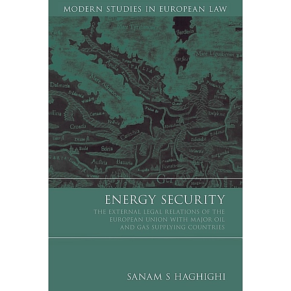 Energy Security, Sanam S. Haghighi