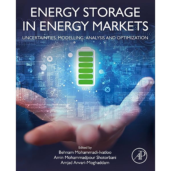 Energy Storage in Energy Markets