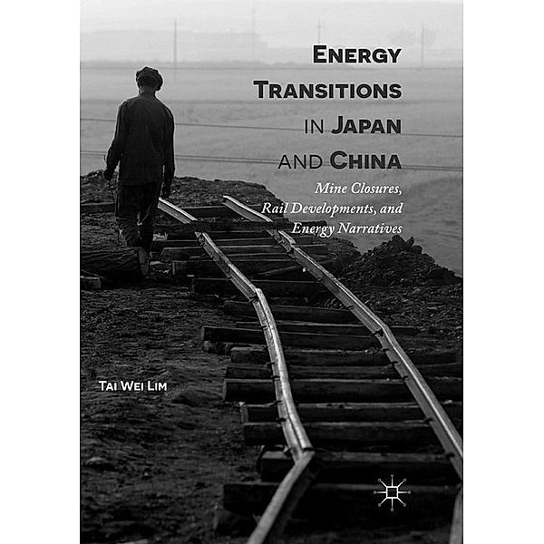 Energy Transitions in Japan and China, Tai Wei Lim