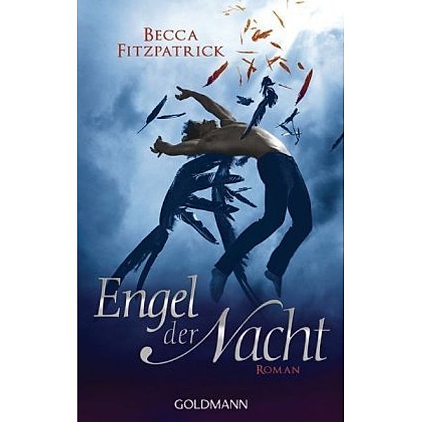 Engel der Nacht Bd.1, Becca Fitzpatrick