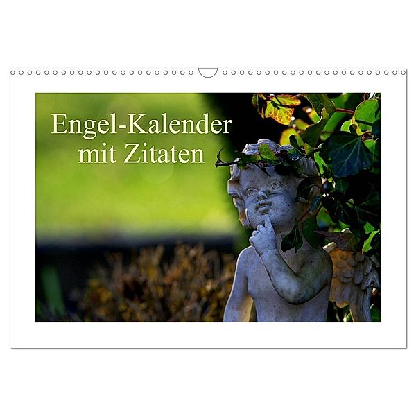 Engel-Kalender mit Zitaten (Wandkalender 2024 DIN A3 quer), CALVENDO Monatskalender, Tanja Riedel