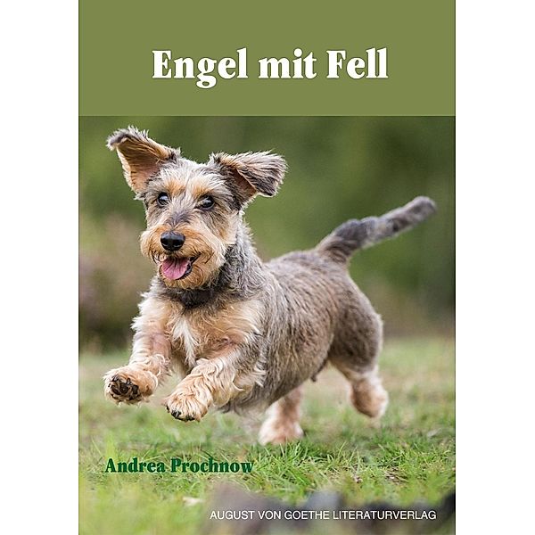 Engel mit Fell, Andrea Prochnow