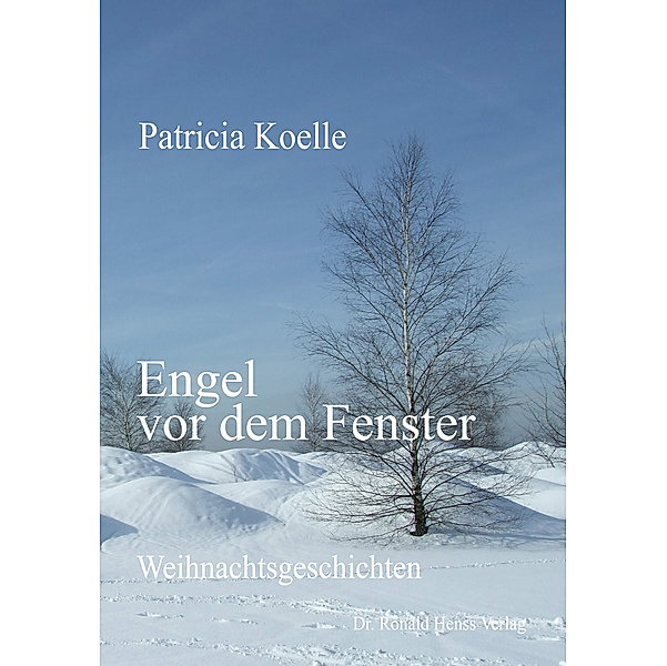 Engel vor dem Fenster, Patricia Koelle