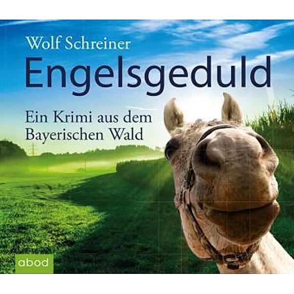 Engelsgeduld, 6 Audio-CDs, Wolf Schreiner