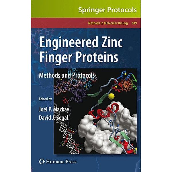 Engineered Zinc Finger Proteins