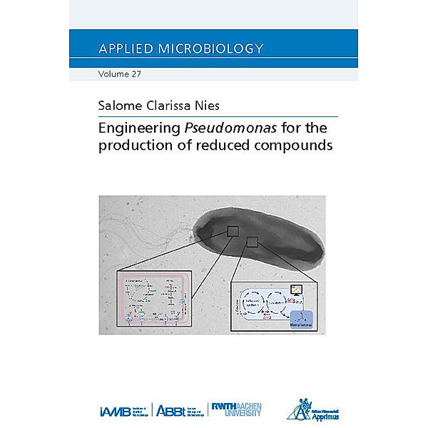 Engineering Pseudomonas for the production of reduced compounds, Salome Clarissa Nies