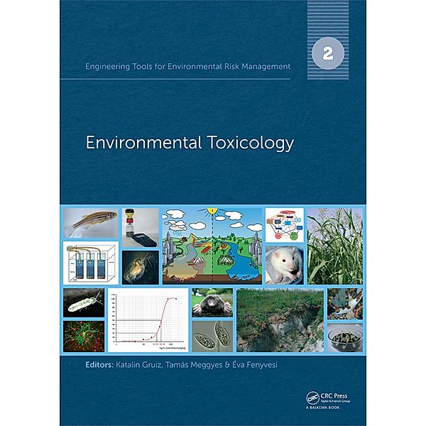 Engineering Tools for Environmental Risk Management