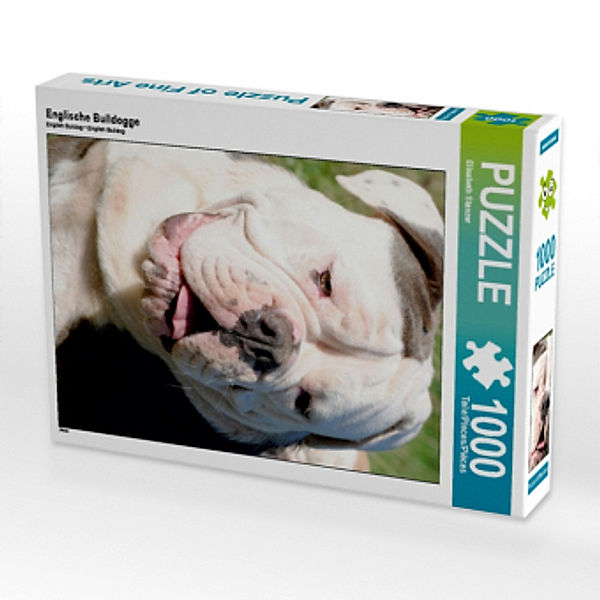 Englische Bulldogge (Puzzle), Elisabeth Stanzer