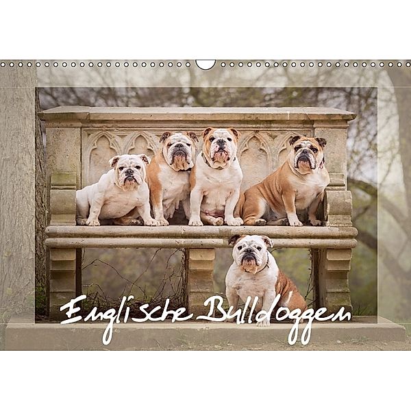 Englische Bulldoggen (Wandkalender 2018 DIN A3 quer), Sabrina Wobith