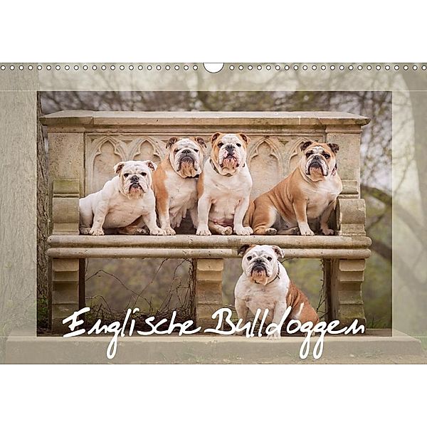 Englische Bulldoggen (Wandkalender 2020 DIN A3 quer), Sabrina Wobith