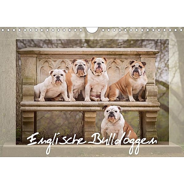 Englische Bulldoggen (Wandkalender 2020 DIN A4 quer), Sabrina Wobith
