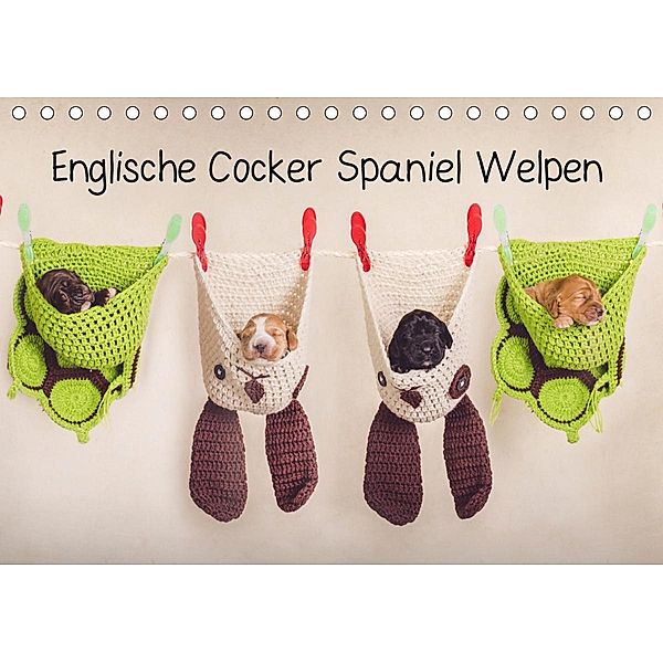 Englische Cocker Spaniel Welpen (Tischkalender 2021 DIN A5 quer), Sabrina Wobith
