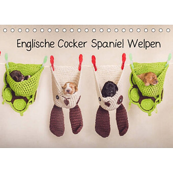 Englische Cocker Spaniel Welpen (Tischkalender 2022 DIN A5 quer), Sabrina Wobith Photography - FotosVonMaja