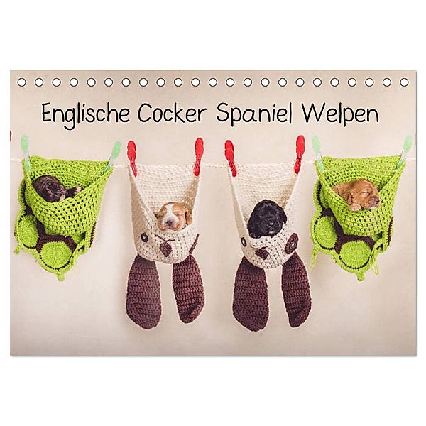 Englische Cocker Spaniel Welpen (Tischkalender 2024 DIN A5 quer), CALVENDO Monatskalender, Sabrina Wobith Photography - FotosVonMaja