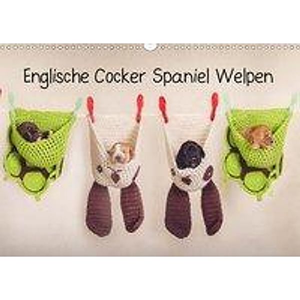 Englische Cocker Spaniel Welpen (Wandkalender 2020 DIN A3 quer), Sabrina Wobith
