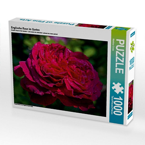 Englische Rose im Garten (Puzzle), Martina Cross