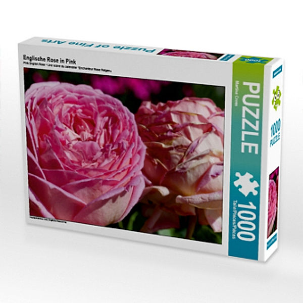 Englische Rose in Pink (Puzzle), Martina Cross